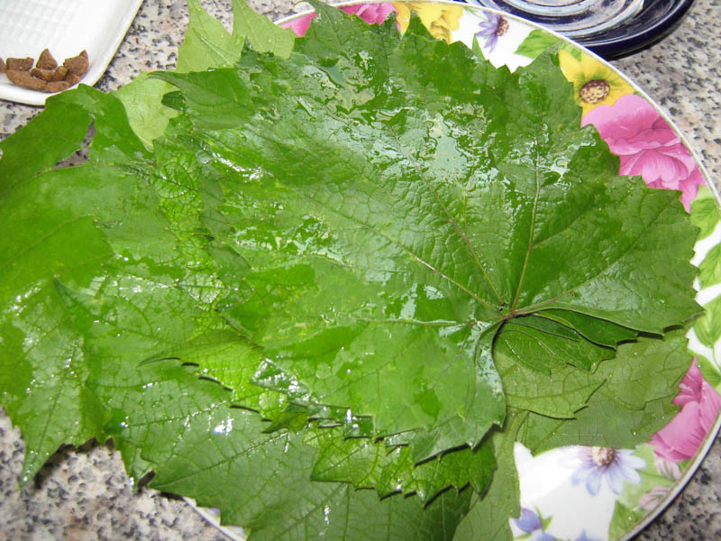 dolma-IMG_8652