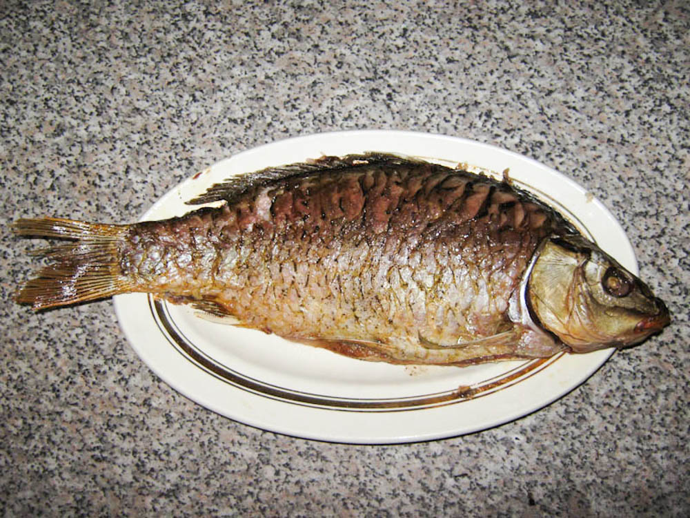 karp-zapechenyiy-v-duhovke-IMG_9427