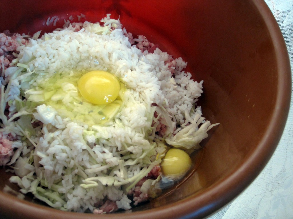 lenivyie-golubtsyi-IMG_6180