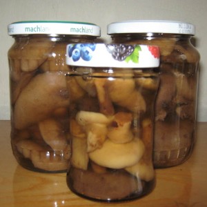 Рецепт: Маринованные грибы Козляки (решетник) Маринованные грибы Козляки (решетник) — пошаговый рецепт с фото