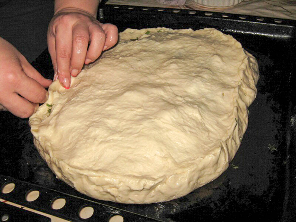 pirog-myasnoy-iz-drozhzhevogo-testa-IMG_9538