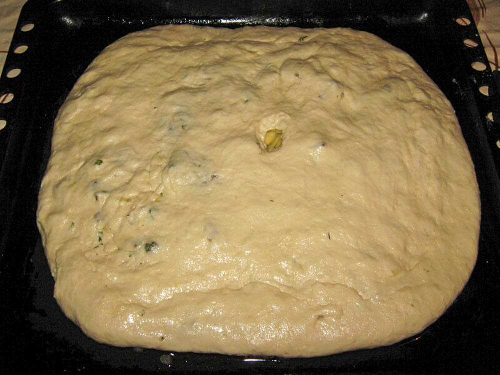 pirog-myasnoy-iz-drozhzhevogo-testa-IMG_9542