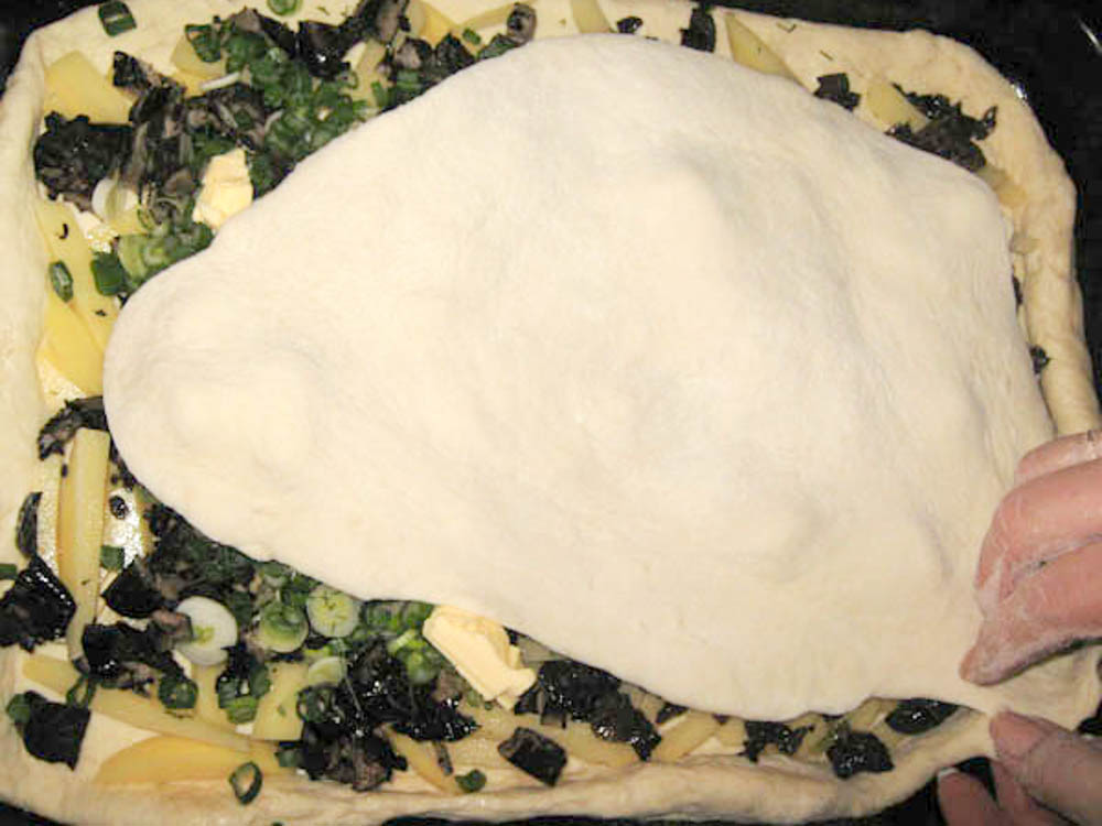 pirog-s-gribami-duplet-IMG_0691