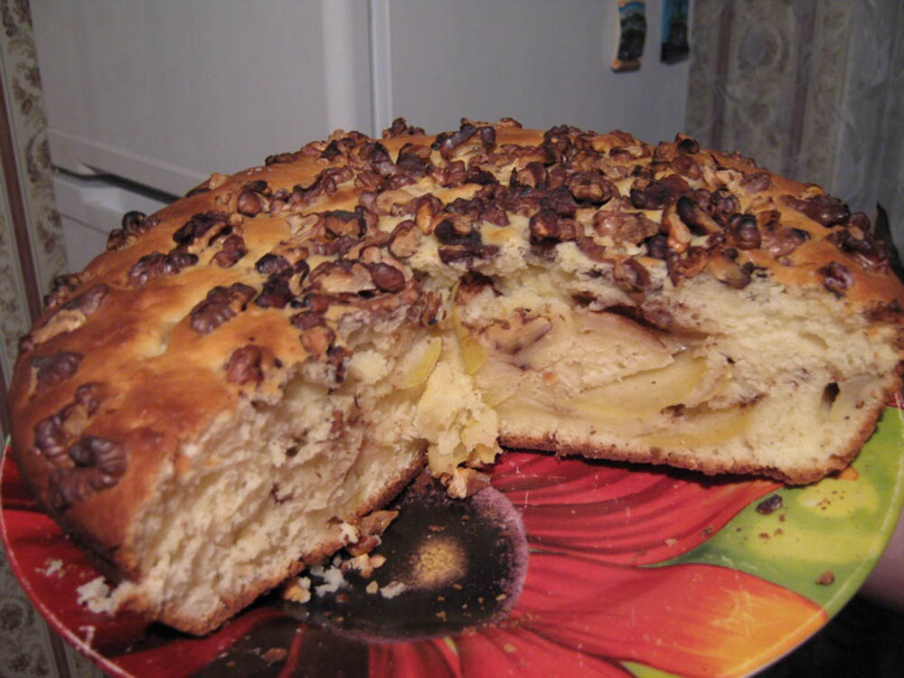 yablochnyiy-pirog-sharlotka-IMG_9451