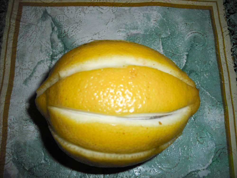 zalivnoe-iz-kuritsyi-12
