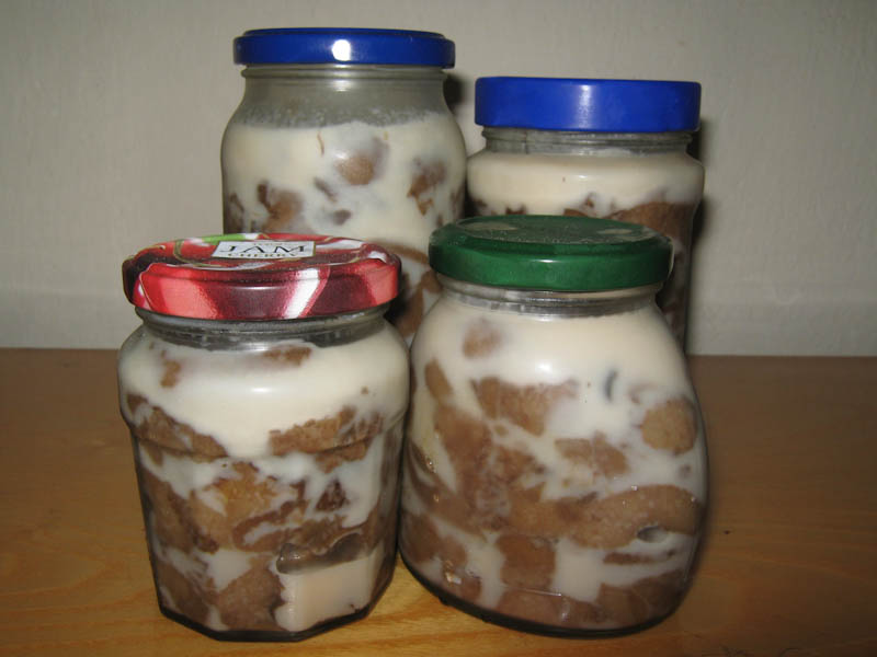 zharenyie-gribyi-kozlyaki-reshetniki-IMG_0873