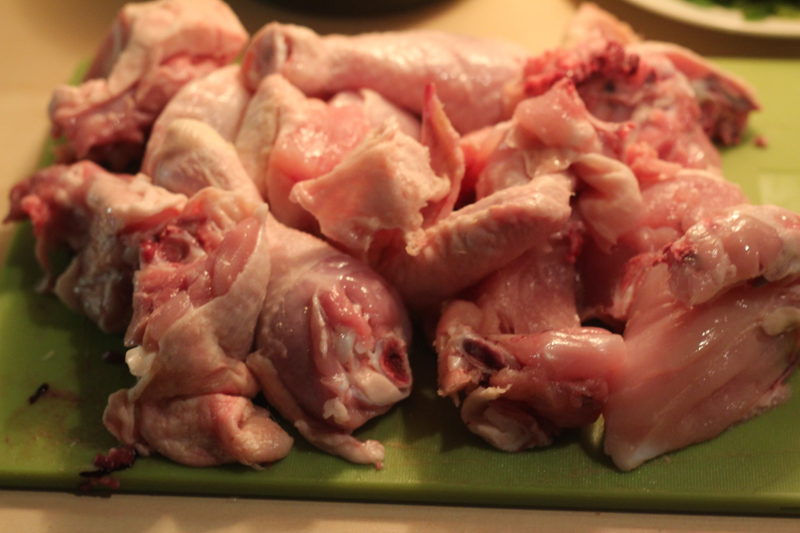 chahohbili-IMG_2285