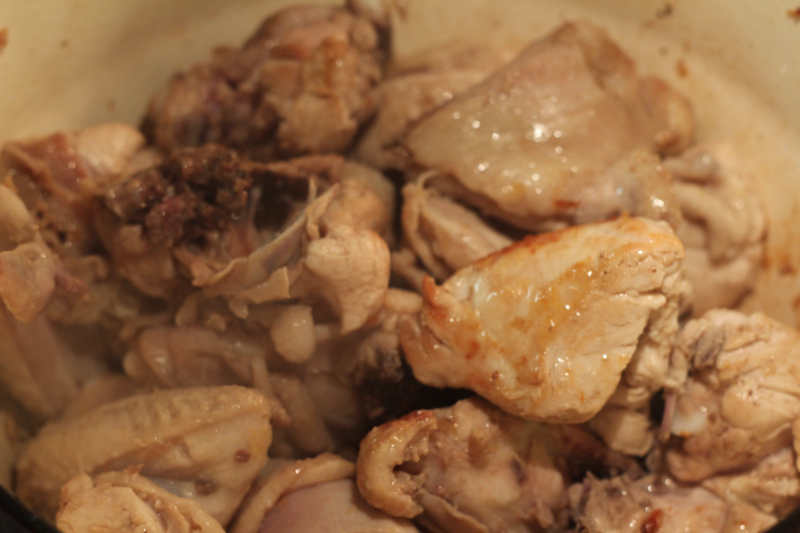 chahohbili-IMG_2289