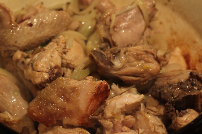 chahohbili-IMG_2291