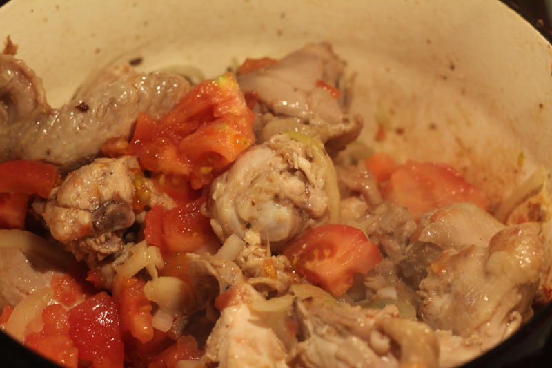 chahohbili-IMG_2293