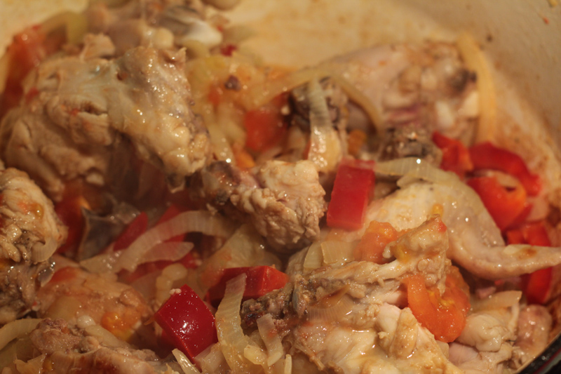 chahohbili-IMG_2295