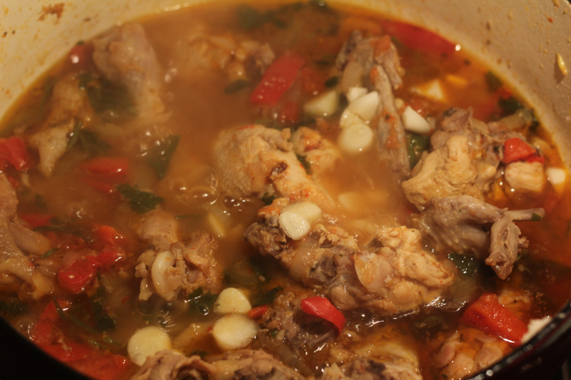 chahohbili-IMG_2298