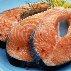 Семга – выбор, хранение и польза Семга – выбор, хранение и польза