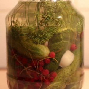 Рецепт: Малосольные огурцы с красной смородиной Малосольные огурцы с красной смородиной — пошаговый рецепт с фото