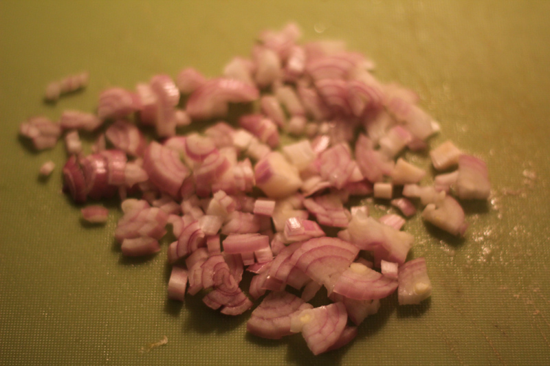 riyet-iz-utki-rillettes-de-canard-IMG_16141
