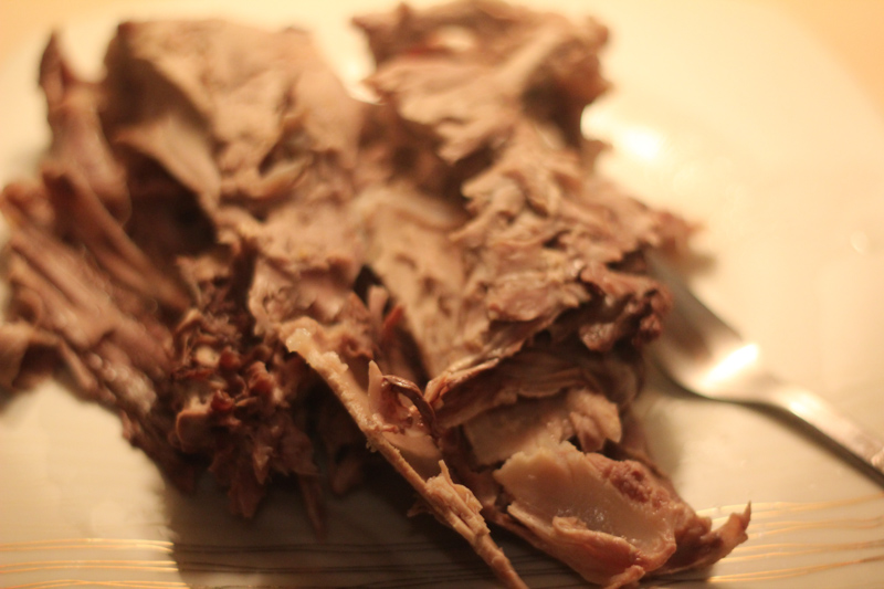 riyet-iz-utki-rillettes-de-canard-IMG_16181