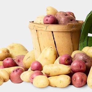 Как хранить картофель зимой в квартирных условиях — пошаговый рецепт с фото