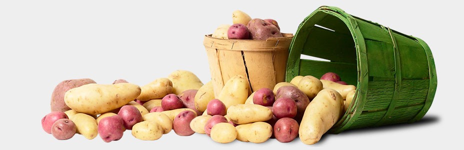 Как хранить картофель зимой в квартирных условиях Как хранить картофель зимой в квартирных условиях