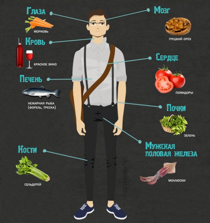 Какие продукты полезны для органов человека?