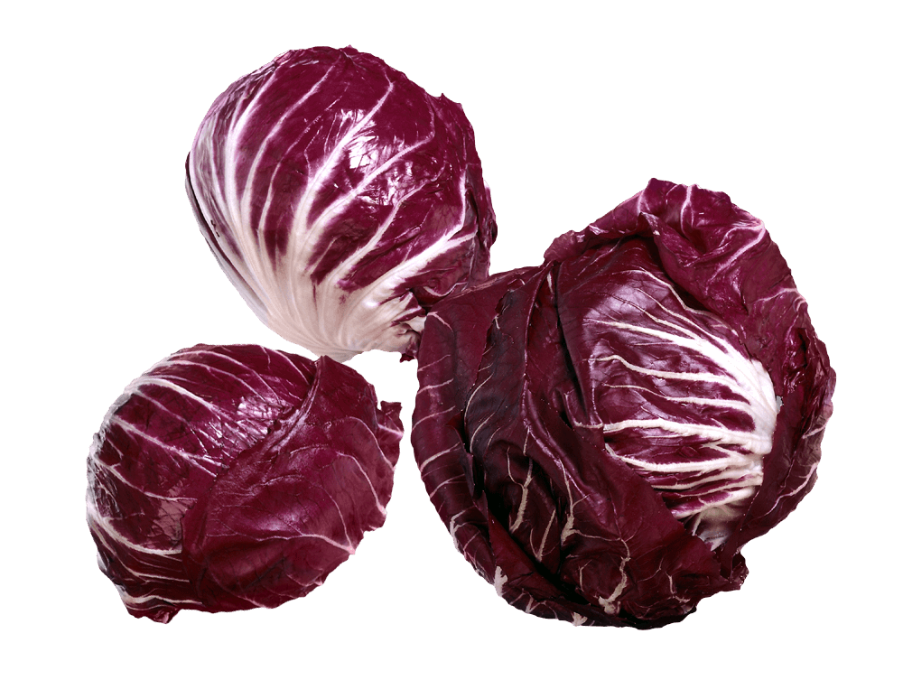 Радиккьё (радиккио, радиккьо)