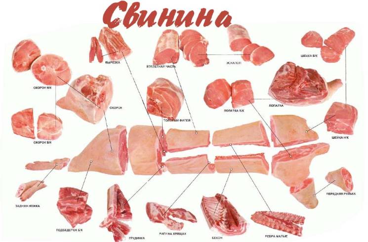 Как выбрать мясо свинины?