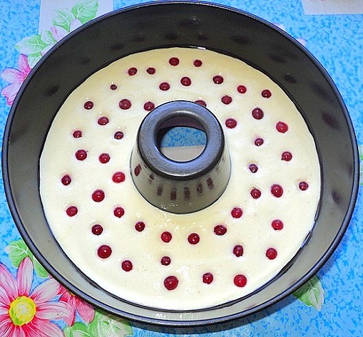 tvorozhnaya-zapekanka-so-smorodinoy-02