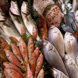 Какая морская рыба самая полезная?
