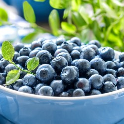 Продукты, которые улучшают работу мозга Продукты, которые улучшают работу мозга