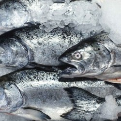 Как проверить качество продуктов Как проверить качество продуктов