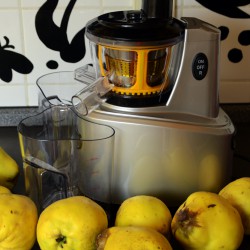 Соковыжималки – с пользой для организма Соковыжималки – с пользой для организма