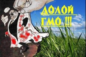 Минсельхоз борется за сохранение в силе запрета на применение ГМО в продуктах