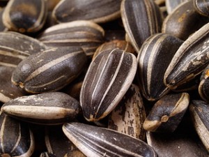 Вкусные семечки: секреты жарки